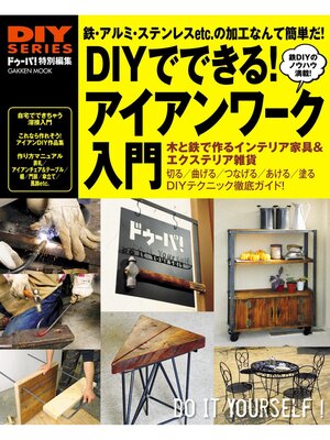 cover image of ＤＩＹでできる　アイアンワーク入門